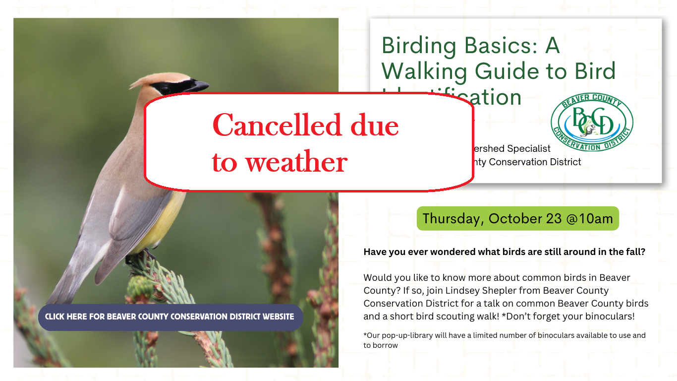 Cancelled due to weather