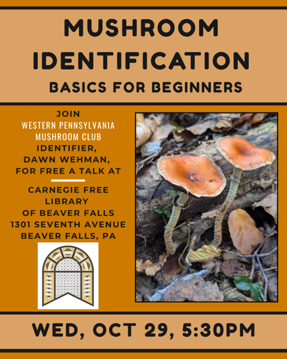 Mushroom Identification Basics for Beginners Join Western Pennsylvania Mushroom Club Identifier, Dawn Wehman, for a free talk Carnegie Free Library - Beaver Falls Wed, Oct 29, 5:30 PM