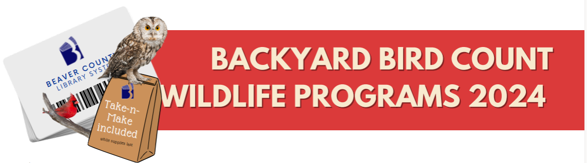 Backyard Bird Count Wildlife Programs 2024