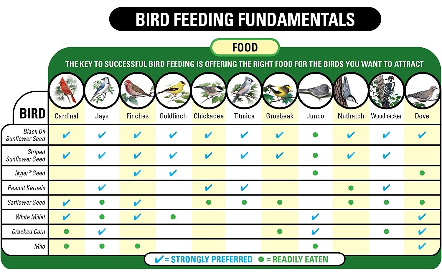 Bird Feeding Fundamentals chart